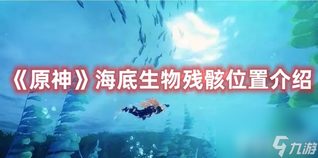 《原神》海底生物殘骸在什么地方 海底生物殘骸所在位置分享