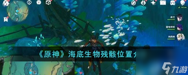 原神海底生物殘骸位置在哪里-海底生物殘骸位置介紹