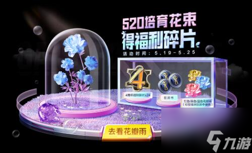 和平精英花瓣雨道具怎么获得 520培育花束活动攻略