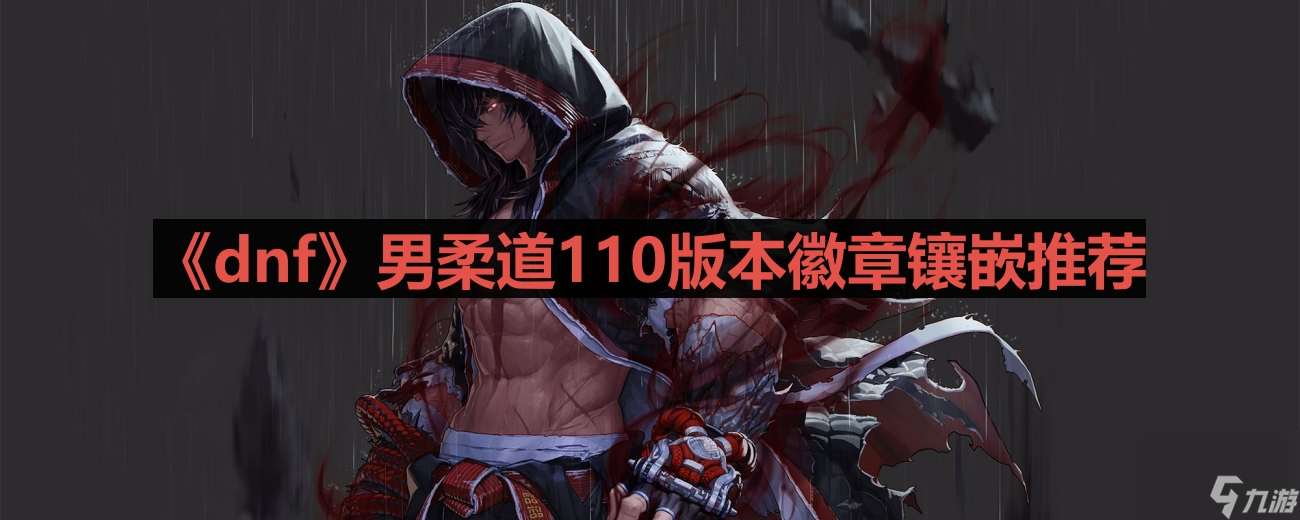 《dnf》男柔道110版本徽章鑲嵌推薦