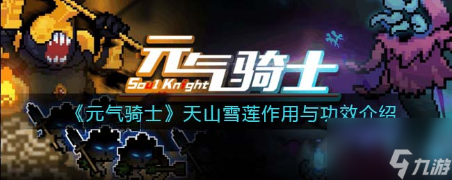 元气骑士天山雪莲作用与功效介绍