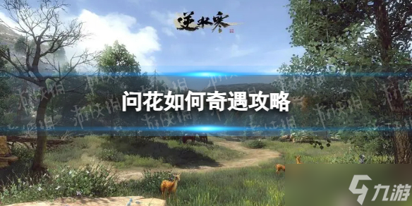 《<a id='link_pop' class='keyword-tag' href='https://www.9game.cn/nishuihan1/'>逆水寒手游</a>》问花如何奇遇攻略