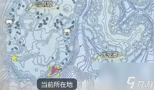 具体位置图解 宝可梦传说阿尔宙斯藏在雪里的纯白六尾在哪