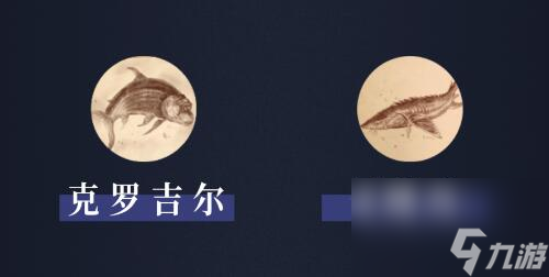 暗黑破坏神不朽阿什沃德墓园有什么鱼 鱼类图鉴介绍