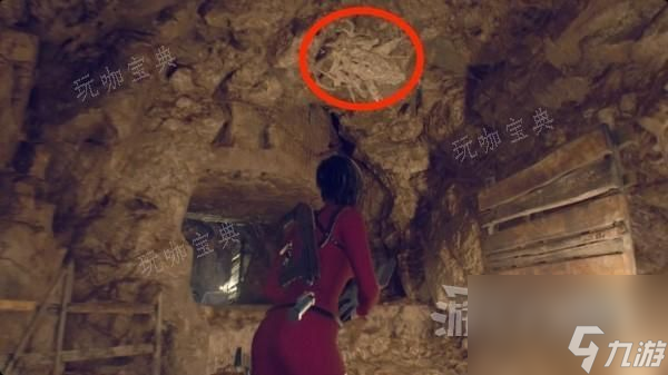 《生化危机4重制版》逆命殊途DLC隐形虫位置一览 除虫行动隐形虫在哪？