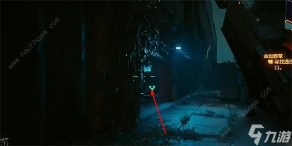 赛博朋克2077雨魂灵怎么得 雨魂灵获取攻略