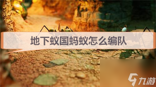 螞蟻編隊(duì)控制攻略 地下蟻國(guó)螞蟻怎么編隊(duì)