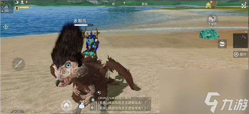 抓捕地点一览 妄想山海颙鸟在哪