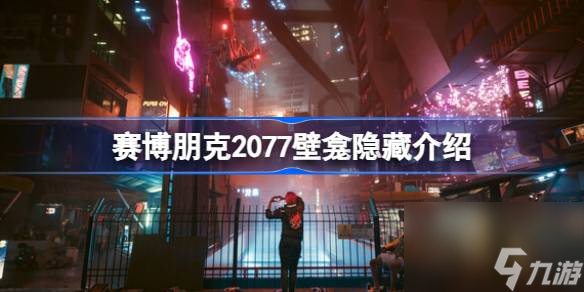 赛博朋克2077壁龛隐藏是什么,赛博朋克2077壁龛隐藏介绍