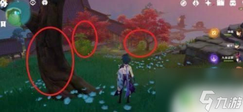原神枫木分布图 《原神》枫木分布地点有哪些