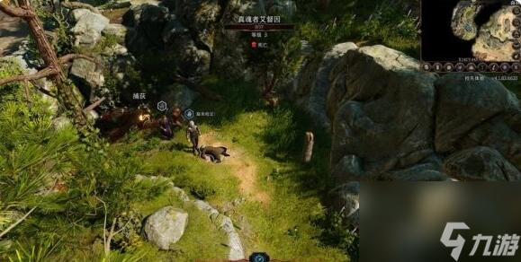 博德之门3第七章找到德鲁伊怎么过