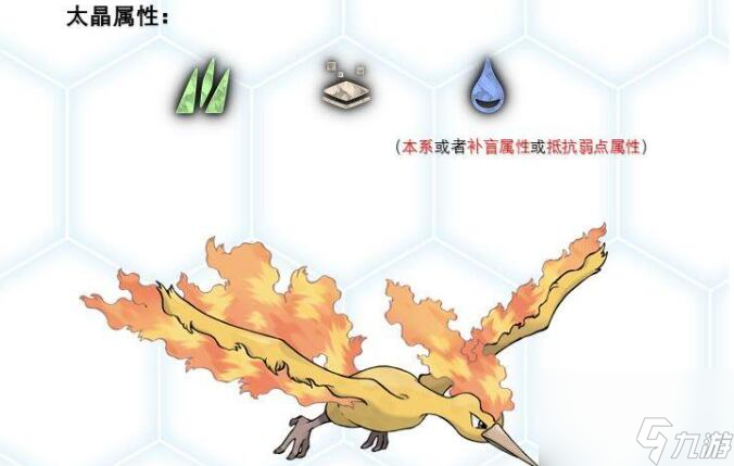 《宝可梦朱紫》火焰鸟配招推荐