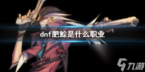 dnf肥鯮職業(yè)介紹