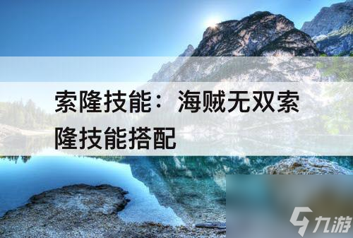 索隆技能：海賊無雙索隆技能搭配