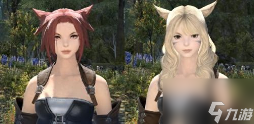 ff14捏脸数据(ff14 猫娘捏脸数据)