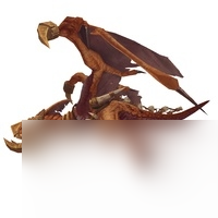 魔兽世界地精的坐骑在哪里买（wow这69种坐骑你都知道怎么获取吗）