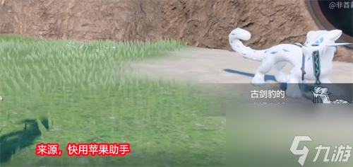 宝可梦朱紫二级神古剑豹捕捉位置攻略 宝可梦朱紫在哪捕捉古剑豹