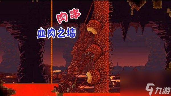 泰拉瑞亚肉山掉落物品一览