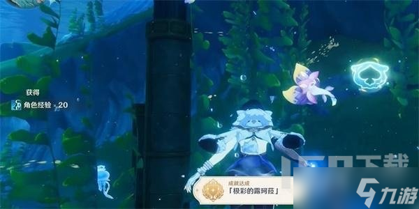 原神极彩的露珂菈成就怎么解锁 极彩的露珂菈具体位置大全