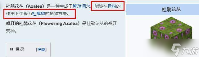 我的世界杜鵑花叢有什么用 杜鵑花叢作用介紹