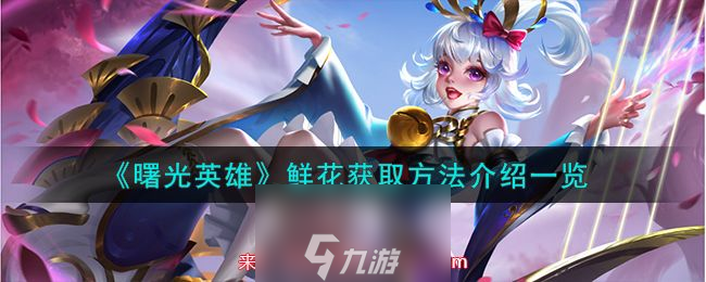 曙光英雄鲜花怎么获得 揭秘获取鲜花的四个途径