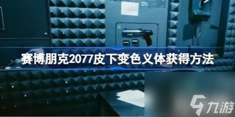 赛博朋克2077皮下变色义体获取玩法（赛博朋克2077皮下变色义体如何获取）