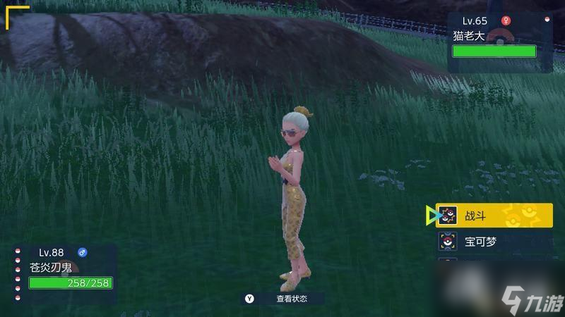 宝可梦朱紫dlc鬼面组位置及奖励 馥好和毅万位置及奖励