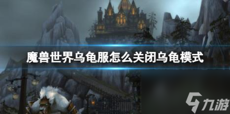 魔兽世界乌龟服闭乌龟模式方法