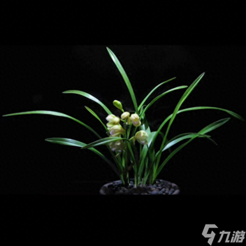 劍網(wǎng)三 素冠荷鼎(劍網(wǎng)三素冠荷鼎怎么上)