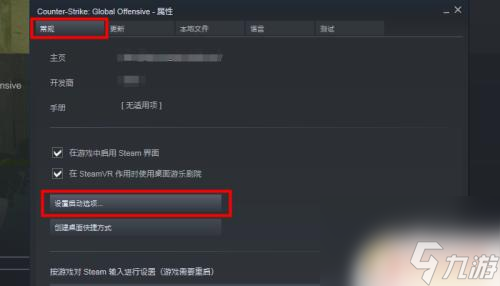 steam 怎么启动csgo Steam怎么启动打开CSGO国服