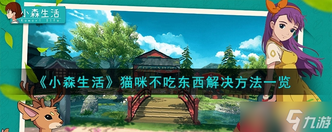 《小森生活》猫咪不吃东西解决方法