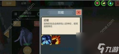 创造与魔法宠物大全宠物抓捕方法汇总介绍