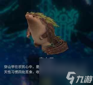 《荒原疗者》收集攻略分享 可收集要素有哪些？