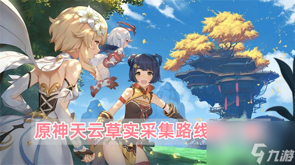 天云草实在哪里采集-<a id='link_pop' class='keyword-tag' href='https://www.9game.cn/yuanshen/'>原神</a>天云草实采集路线图一览
