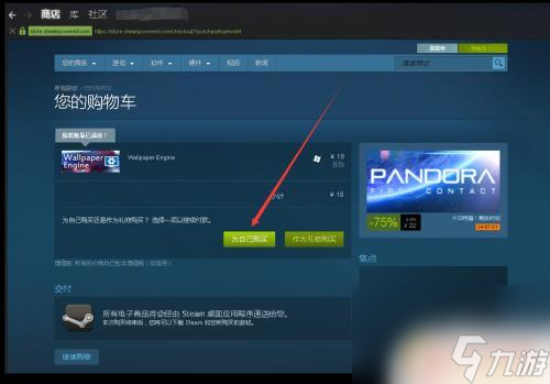 Steam资料背景怎么么？掌握Steam资料背景的关键信息