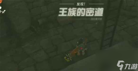 《塞尔达传说：王国之泪》钻石位置介绍