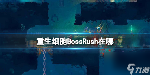重生细胞BossRush在哪BossRushDLC介绍