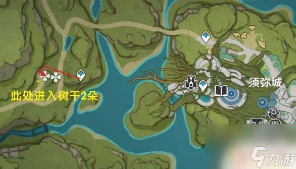 原神中圣王树体菇在哪里 《原神》树王圣体菇位置攻略