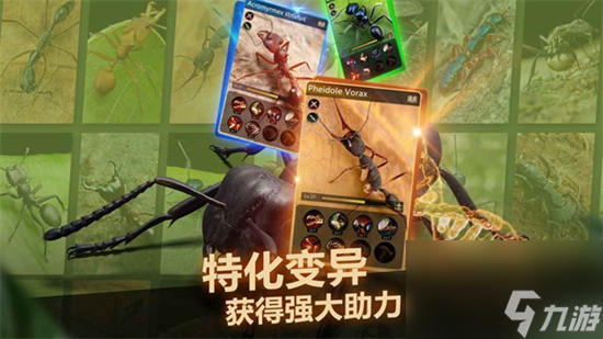 小小蚁国十大最值得养的蚂蚁 十大最值得养的蚂蚁推荐截图
