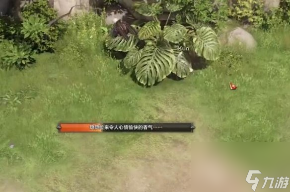 《命运方舟》利贝海姆摩可可方位攻略