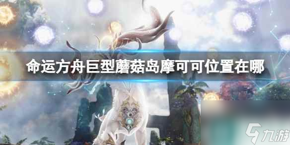 《命运方舟》巨型蘑菇岛摩可可位置攻略