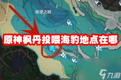 原神枫丹投喂海豹地点在哪
