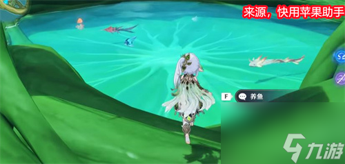 鱼缸获取方法 原神鱼缸怎么获得