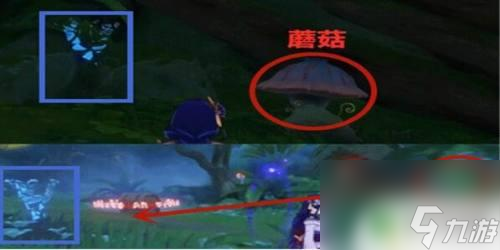 原神火炬蓝色 怎样才能点燃原神中的蓝色火把
