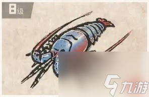 《潜水员戴夫》章鲨版本新增生物一览 新增夜潜鱼类整理