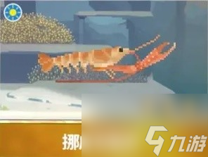 《潜水员戴夫》章鲨版本新增生物一览 新增夜潜鱼类整理