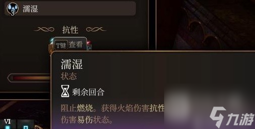 博德之门3元素反应机制详解指南