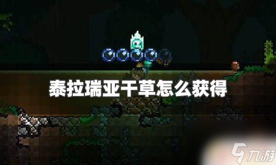 泰拉瑞亚怎么刷甘草 泰拉瑞亚 干草怎么获得