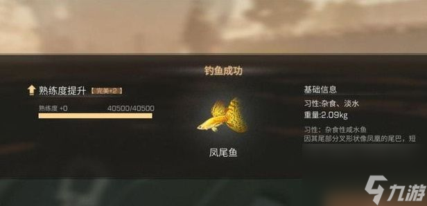 明日之后凤尾鱼刷新位置介绍-凤尾鱼群在哪儿刷新