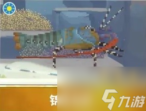 《潜水员戴夫》章鲨版本新增生物一览 新增夜潜鱼类整理